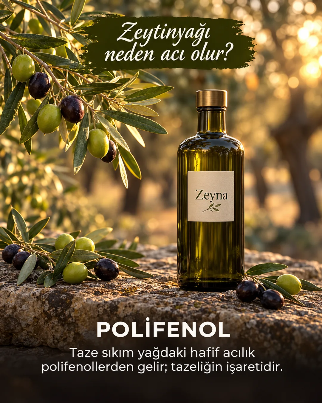 Zeyna zeytinyağı reklam görseli